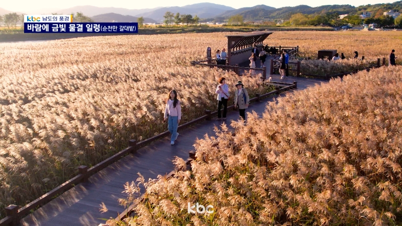 금빛바람 이미지