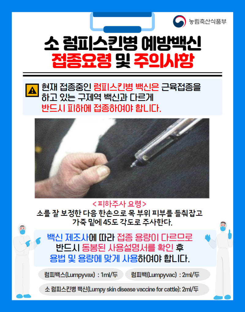 럼피 이미지