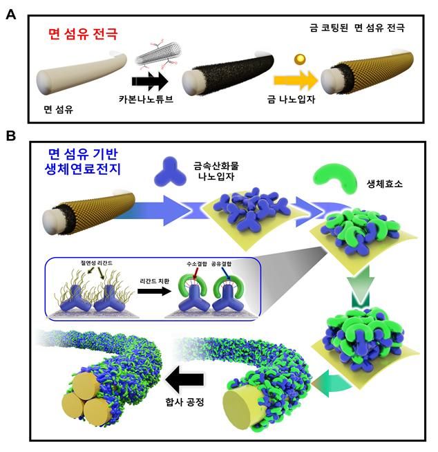 정성개발 이미지