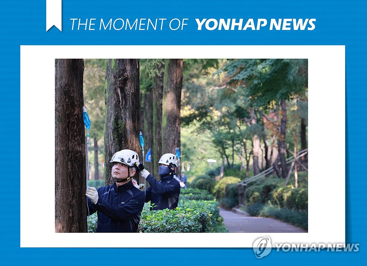 모멘트 이미지