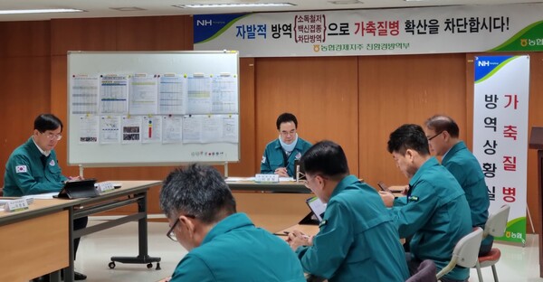 럼피 이미지