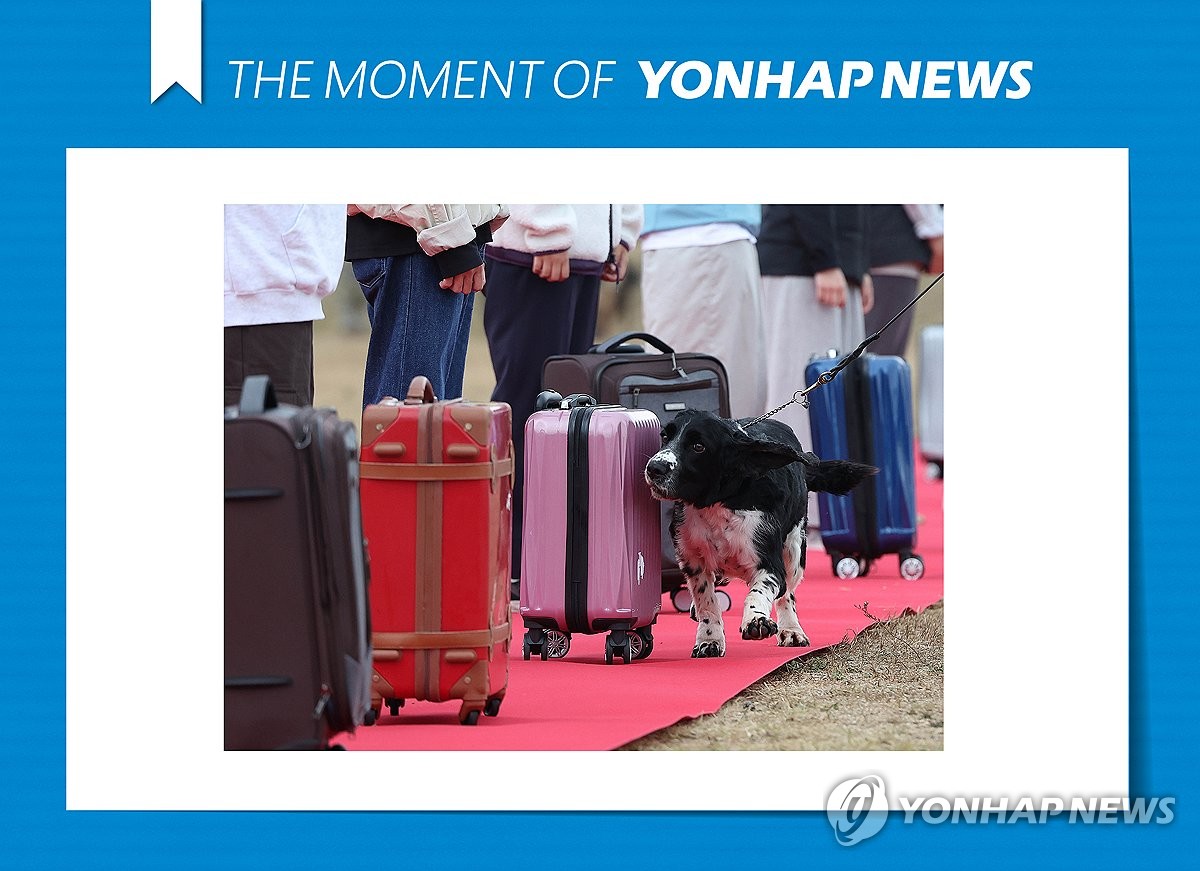 모멘트 이미지