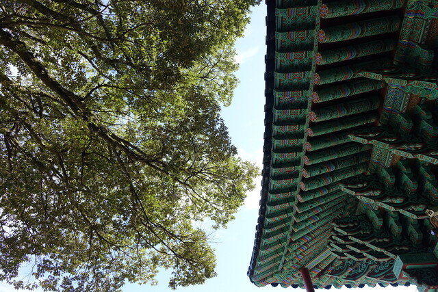 나무가람 이미지