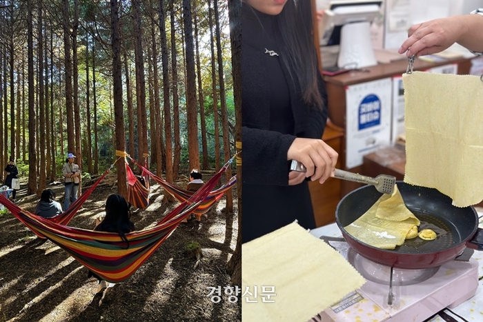 제주바람투어 이미지