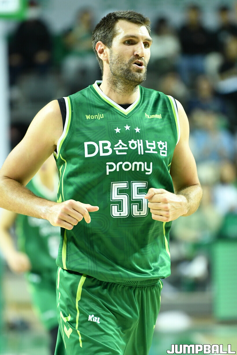 위디 이미지