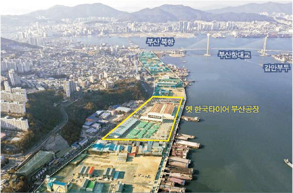 영도기획 이미지