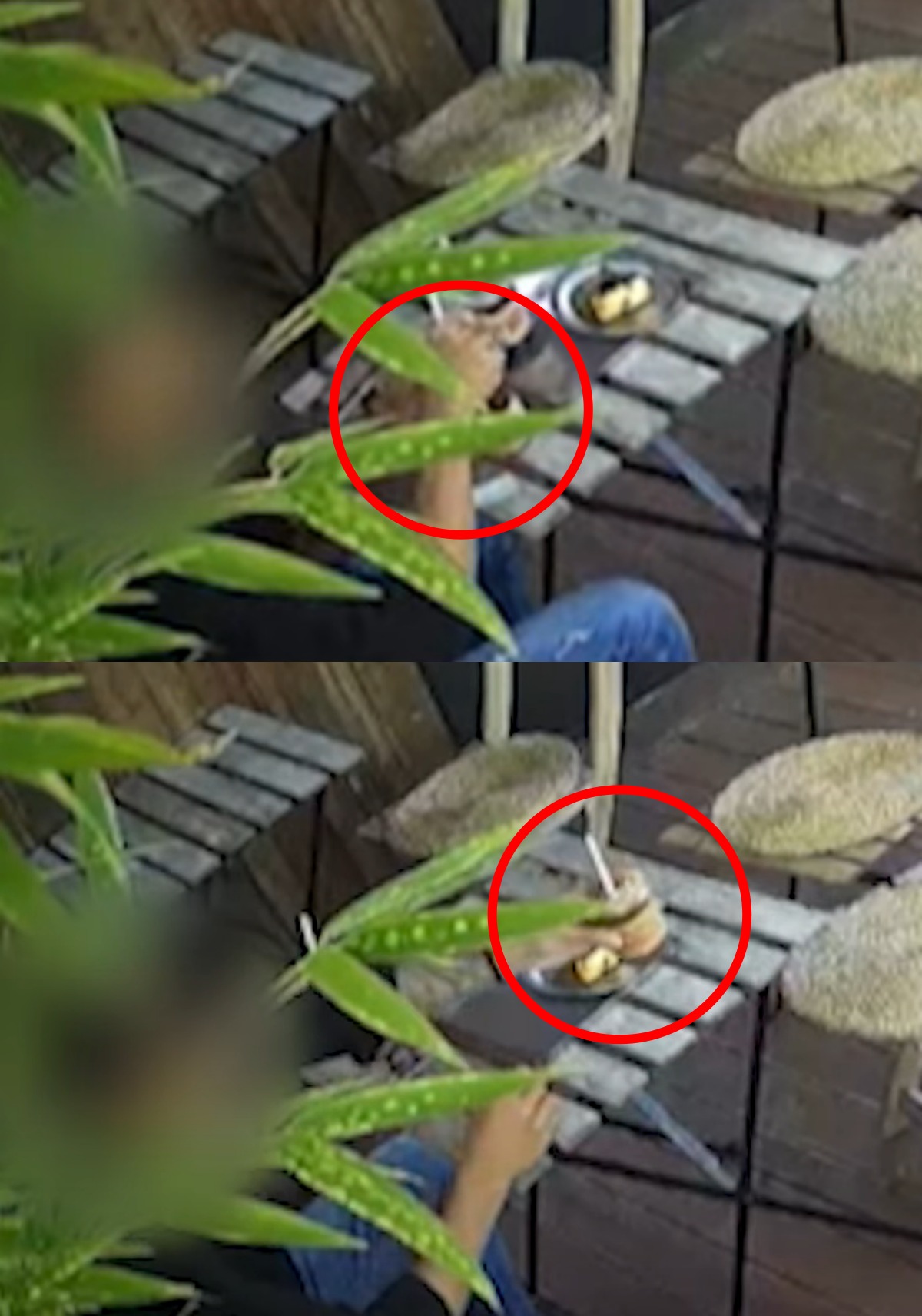 토로커피 이미지
