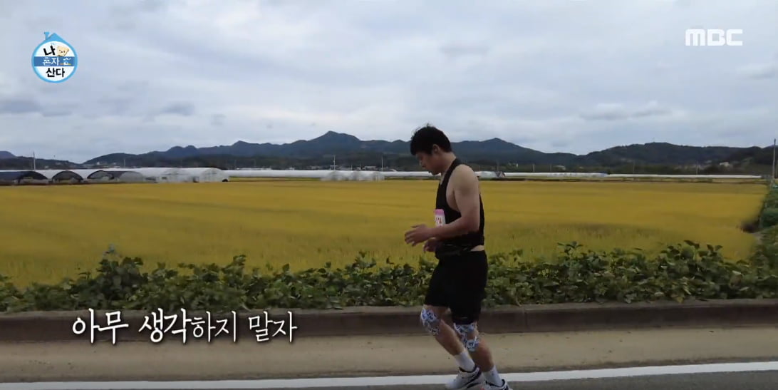 대들보 이미지