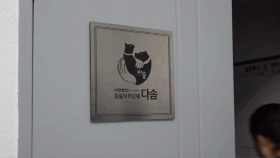 광주 펫숍의 44마리 폐견을 모두 구조한 동물구조단체 다솜의 서울 도봉구 실내 보호소 모습. 다솜 김준원 대표가 상주하며 구조한 동물들을 돌보고 있다. 김 대표는 "우리마저 외면하면 개들이 처리업자에게 넘어가는 상황이었다"며 구조 당시 상황을 설명했다. 전병준 기자