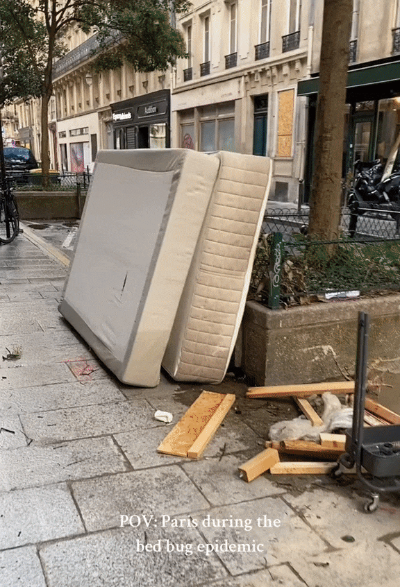 빈대 때문에 골머리를 앓고 있는 프랑스 파리 거리에 주민들이 버린 매트리스. 마리아 슈르센 틱톡