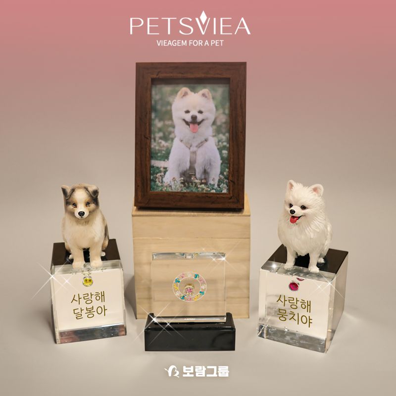 보람휘트니스 이미지