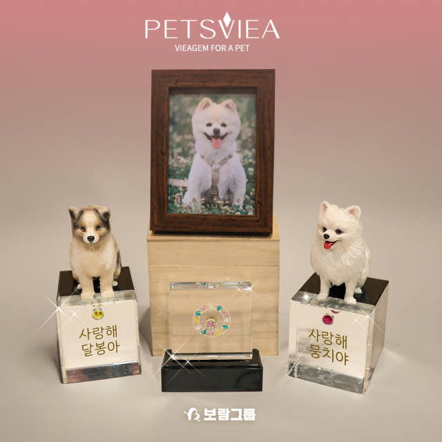 보람 이미지