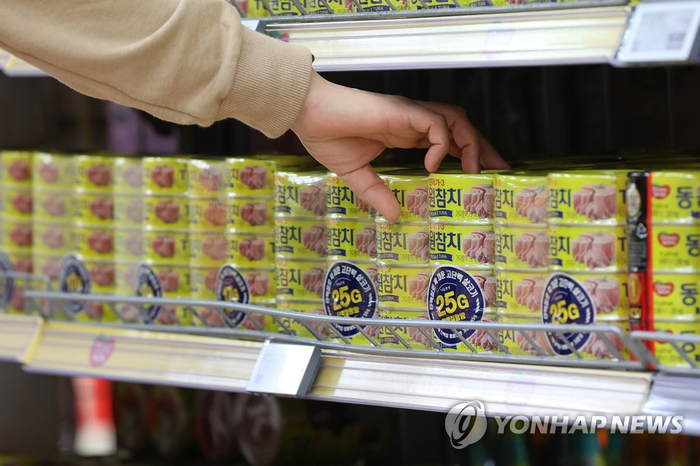 도참치 이미지