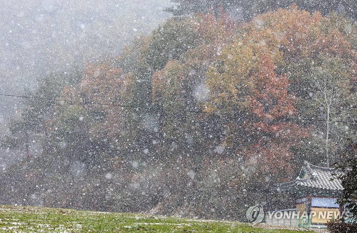 첫눈 이미지