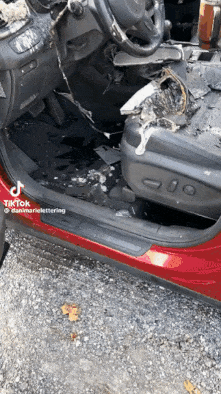 [영상 출처 = 틱톡 갈무리]