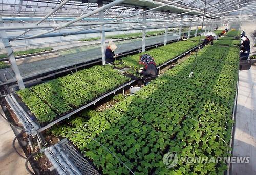 호반 축산 이미지