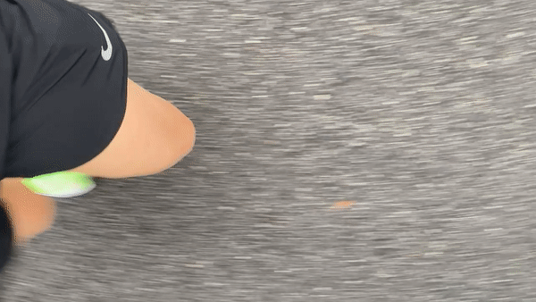 다음엔 풀 코스를 완주할 수 있을 것 같다(약속하는 건 아니다)./사진=남형도 기자