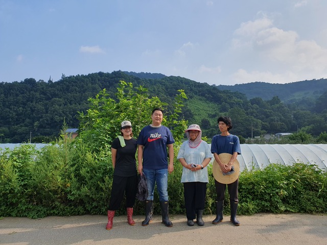 돌돌이 이미지