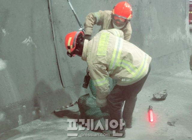 이천소방서(관고119안전센터) 이미지