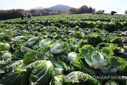 남원원예농협 로컬푸드직매장 이미지