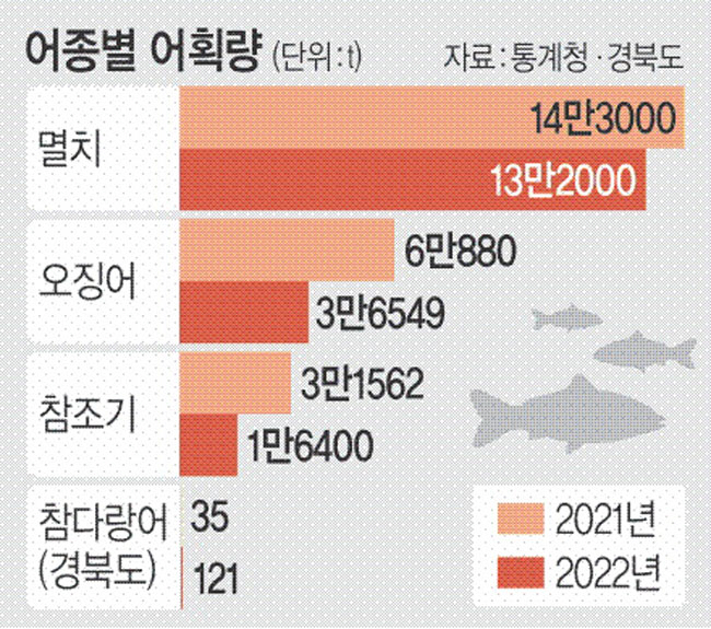 바다참치 이미지