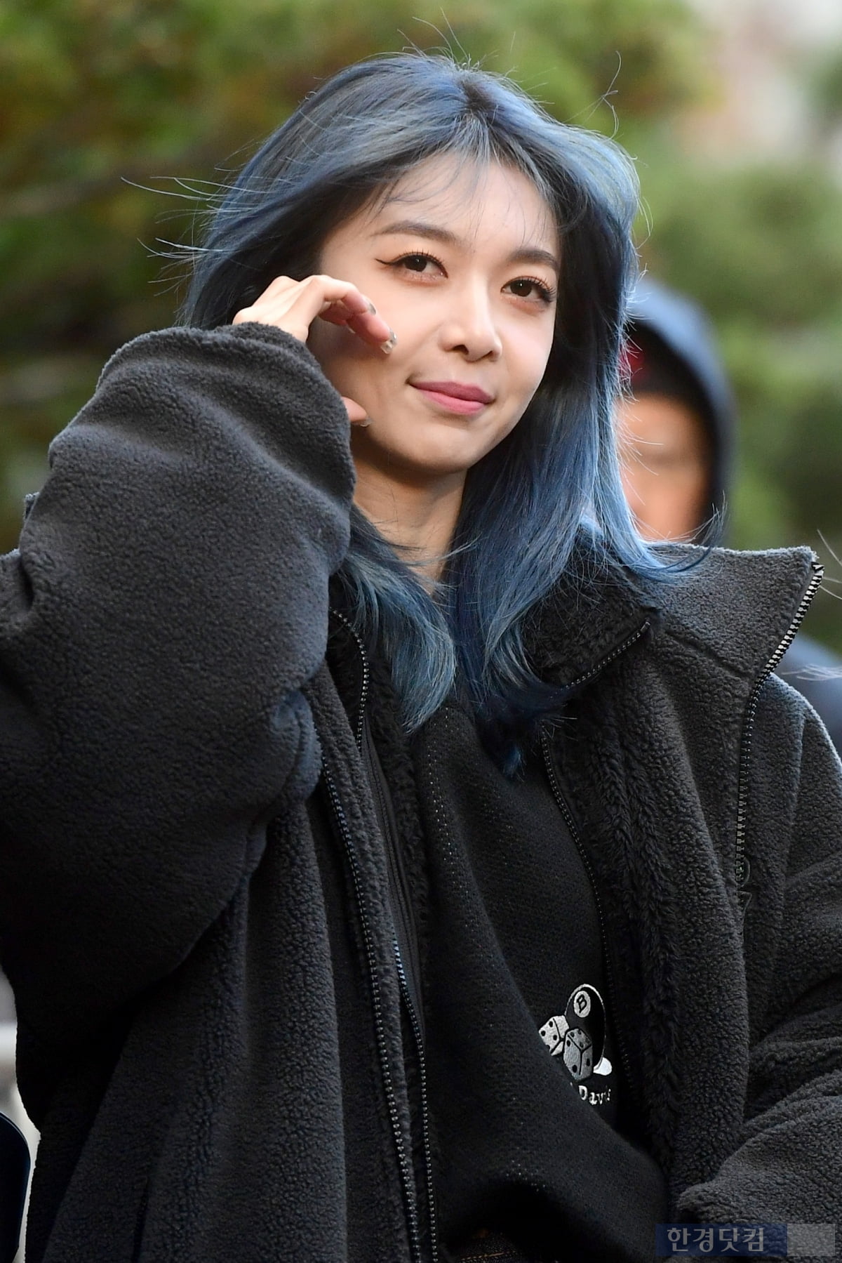 다미 이미지