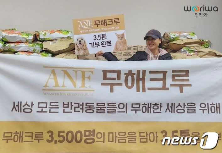 주식회사 나비야 이미지