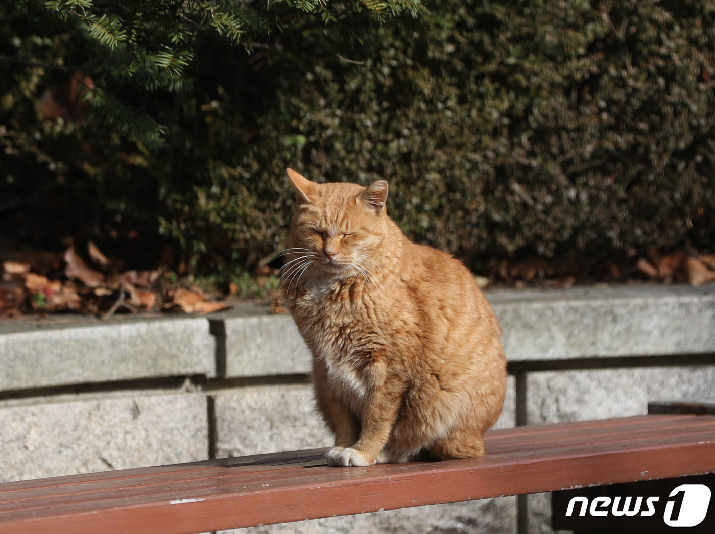 양지바른 이미지