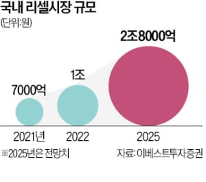 리셀로만 이미지