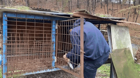 처음 뜬장에 들어갈 때까지만 해도, 이날 하루가 얼마나 힘들지 다 짐작하지 못했다. 개농장 개들을 생각하며 버텼다. 원하는대로 나오거나 들어갈 수가, 전혀 없었을./사진=와치독 활동가