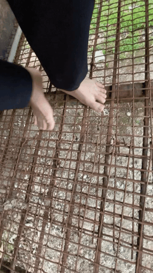 발바닥이 아파서 움직이기조차 힘들었던, 녹슨 뜬장. 바닥에 닿아 있는 게 아니다. 떠있고 구멍이 뚫려 있다. 몸무게 만큼의 중력이, 통증으로 고스란히 전해져 왔다./사진=남형도 기자