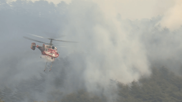 산림청의 산불 진화 주력헬기 ‘카모프 헬기’ 가  불을 끄고 있다.
