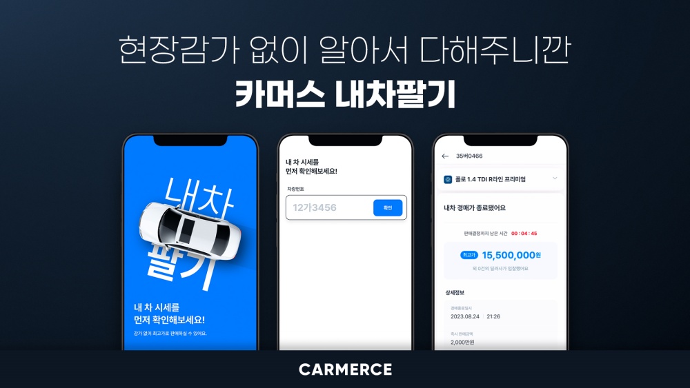 내차처럼 이미지