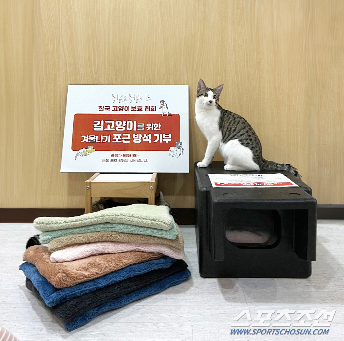 폴햄 이미지