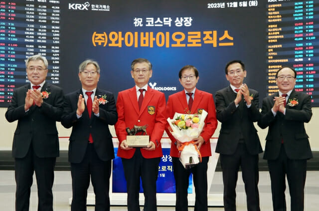 와이바 이미지