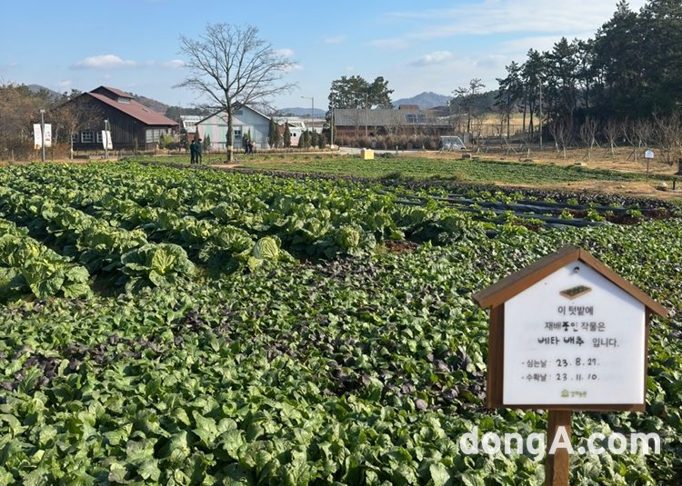 땅이랑농원 이미지