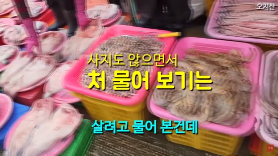 어시장 이미지