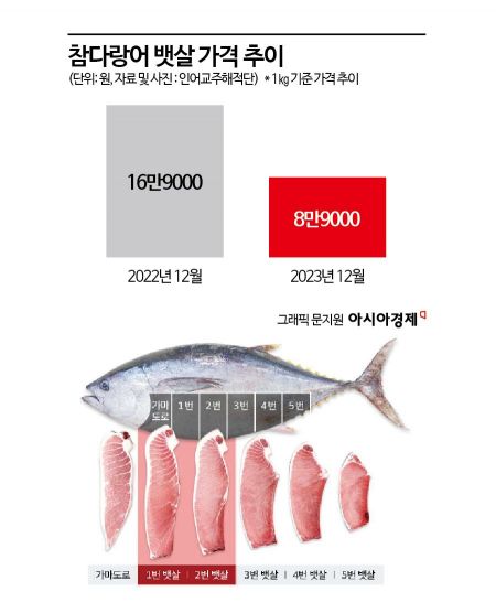 통참치 이미지