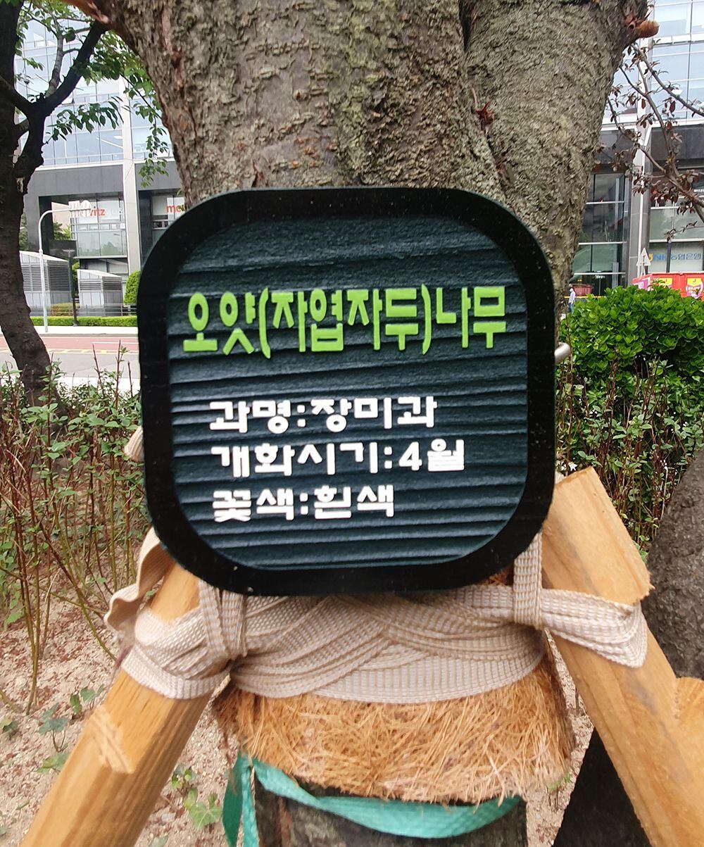 회화정비 이미지