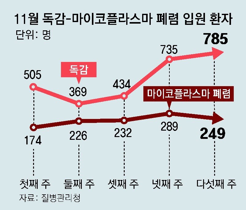 마이코 이미지