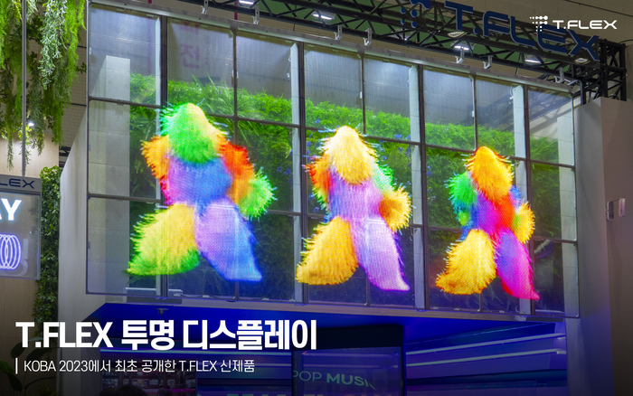 쇼룸제이 이미지