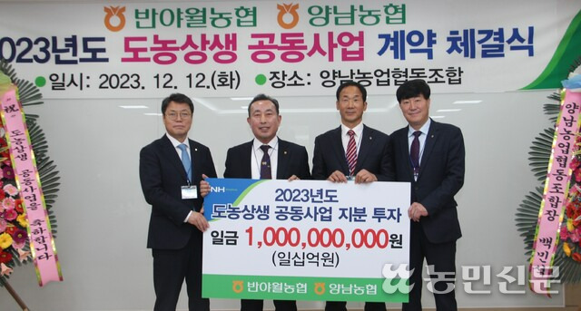 반야월농업협동조합 이미지