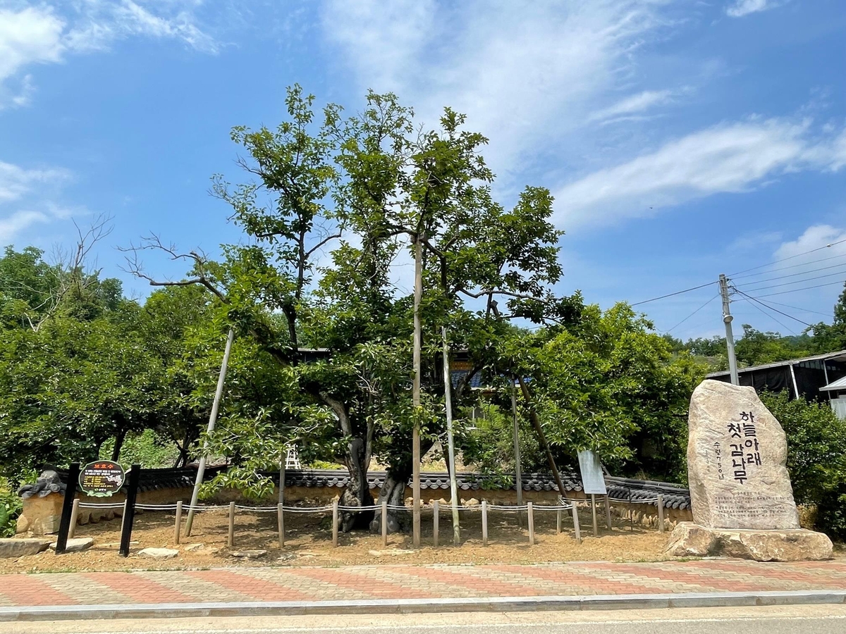 사방인력 이미지