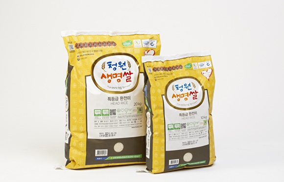 법인청원 이미지