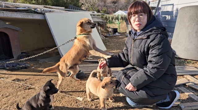 호두하우스 이미지
