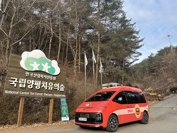 국립 양평 치유의 숲 이미지