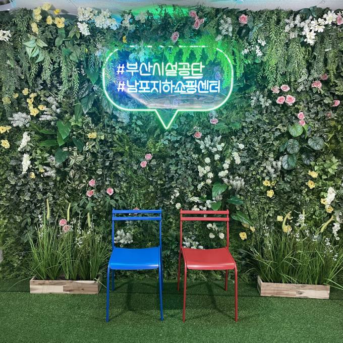 아이비센타 이미지