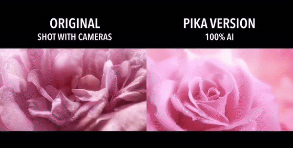 영상=피카랩스 인스타그램