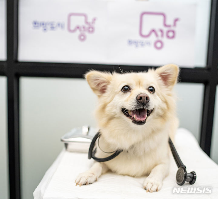 성남축산 이미지