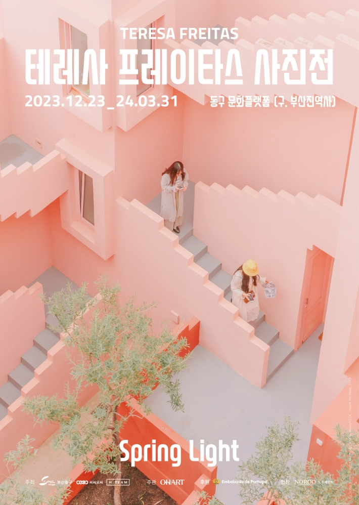 색을담는꿈 이미지